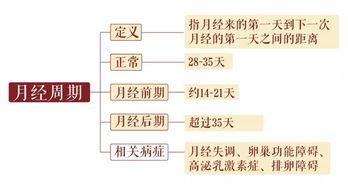 两个月没来月经怎么回事（女性生理周期异常原因分析）