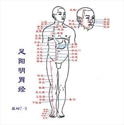 经络埋线：探索瘦身之道