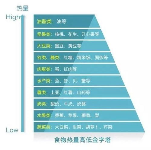 减肥人士的每日热量摄入目标是多少？