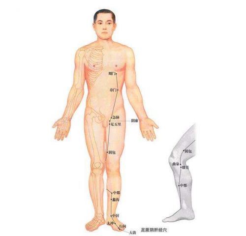 疏通经络：探索有效的减肥方法