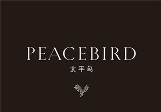 太平鸟是什么牌子？peacebird太平鸟是什么档次？