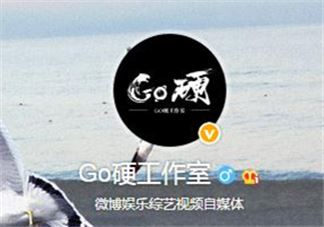 go硬工作室和卓伟有什么关系？go硬工作室是卓伟前员工成立的？