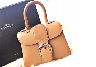 delvaux brilliant多少钱？德尔沃brilliant包包专柜价格