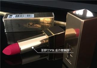 ysl208是什么颜色？ysl208适合黄皮吗？