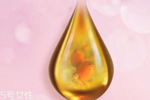 玫瑰果油可以天天用吗？玫瑰果油多久用一次