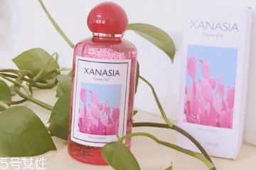 xanasia小红瓶玻尿酸适合季节 夏天用油不油