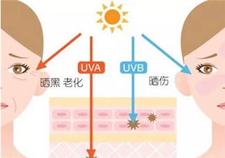 uva uvb是什么意思 防晒小知识科普