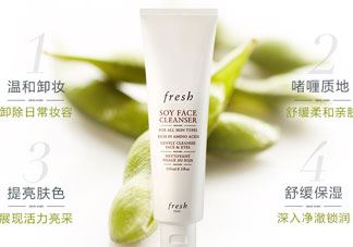 fresh洗面奶怎么样_馥蕾诗洗面奶好用吗