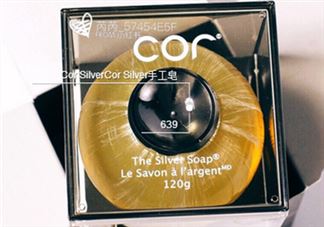 Cor silver是什么品牌?Cor silver是什么档次?