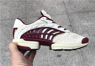 adidas climacool2024版本实物什么样？