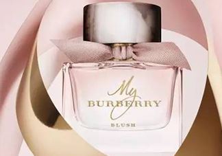 my burberry blush香水怎么样？my burberry blush好闻吗？