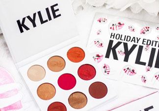 kylie the burgundy9色眼影盘色号_试色图