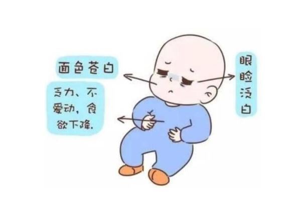 宝宝贫血吃什么补血最快 宝宝贫血吃什么药