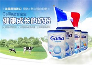 gallia奶粉分段介绍 gallia奶粉分段说明