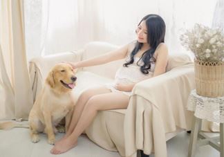 孕妇写真几个月拍比较好？孕妇拍写真要注意什么