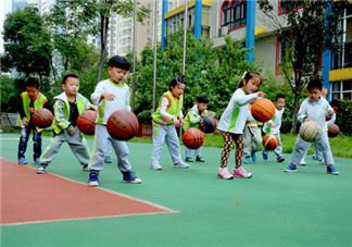 2024幼儿园户外活动教案 2024幼儿园运动会方案