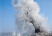 下雪天出门要注意什么