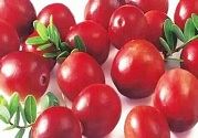 蔓越莓的功效 保护泌尿道怎样吃才对?