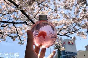 奈良金箔樱花酒多少钱？奈良樱花酒好喝吗