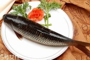 鱼肚里的黑膜是什么 黑色只是色素沉积
