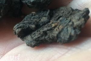 老茶头怎么泡？泡错了就不好喝了