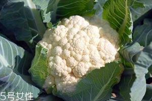 花菜怎么洗才干净？一定要把虫子洗掉