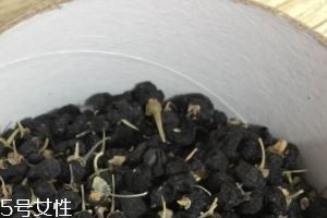 黑枸杞能和红枸杞一起泡吗？