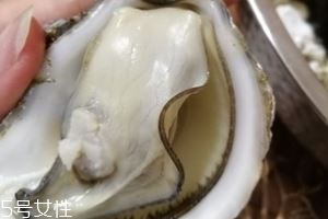 生蚝会有珍珠吗？有这个可能