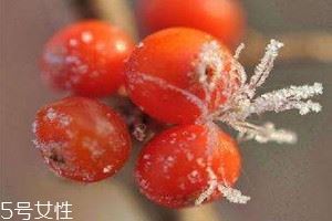 沙棘茶可以空腹喝吗 沙棘茶的喝法