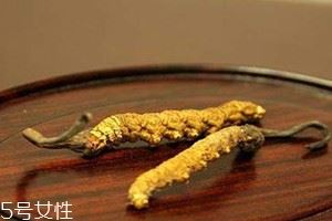 白虫草价格多少钱一斤 白虫草最新价格行情