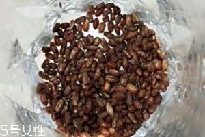 青稞茶怎么冲泡？青稞茶冲泡方法