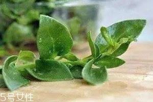 人参菜的根能吃吗 人参菜根怎么吃