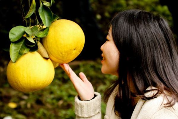 梁平柚为什么是麻的？中国的四大名柚