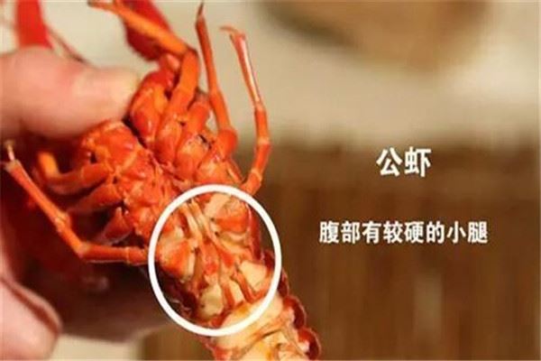 龙虾的吃法有哪些 龙虾的吃法是什么