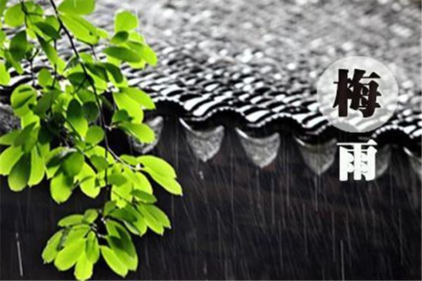 2024梅雨季节是什么时候 梅雨季节是什么