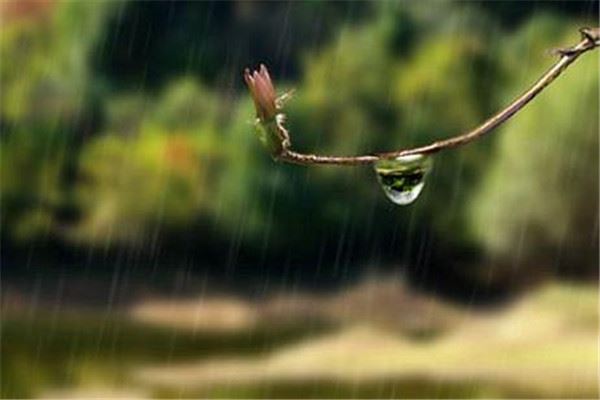 梅雨季节怎么防潮 梅雨季节防潮的方法