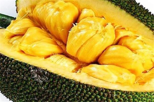 菠萝蜜有黑点能吃吗 菠萝蜜的功效与营养是什么