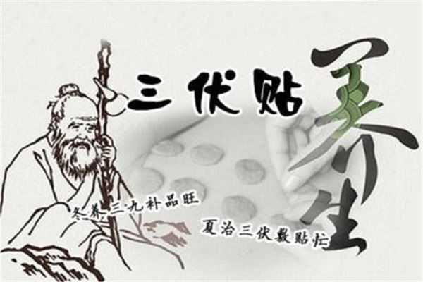 三伏贴多少钱一张 按疗程治疗