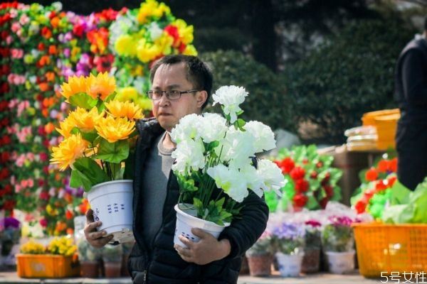 清明节的鲜花要用几朵 清明节扫墓应该用什么花