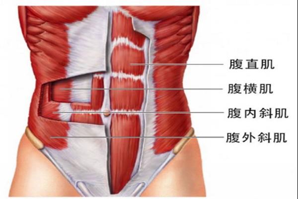 锻炼腹直肌要注意什么 锻炼腹直肌的注意事项