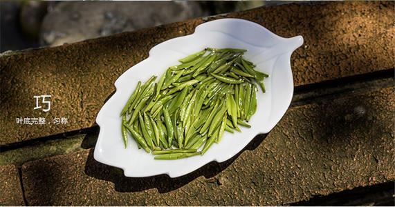 雀舌茶的功效 泡雀舌茶要多少水