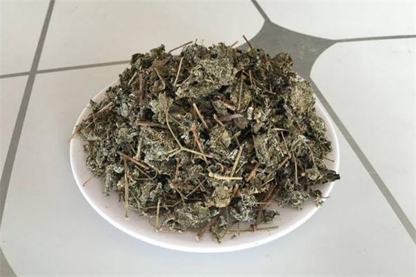 溪黄茶来月经可以喝吗 孕妇可以喝溪黄茶吗