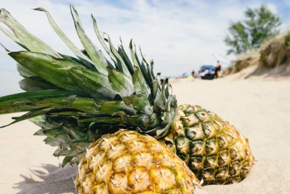 菠萝和凤梨到底什么关系 生物学上是同一种水果