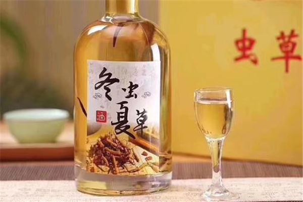 虫草可以泡酒吗 虫草泡酒的正确方法