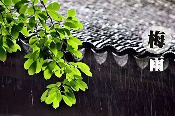 梅雨季节2024什么时间入梅 梅雨季节2024什么时间出梅