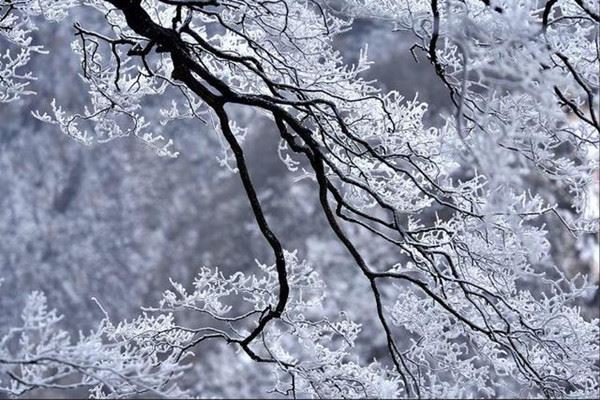 小雪节气的来历 小雪节气有哪些风俗