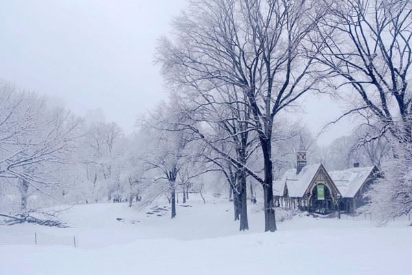 大雪节气是几月几号2024年 大雪节气是什么意思