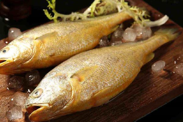 黄花鱼和黄鱼有什么区别 黄花鱼和小黄鱼是一种鱼吗