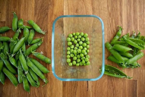 青豆发芽了还可以吃吗 青豆发芽了有毒吗