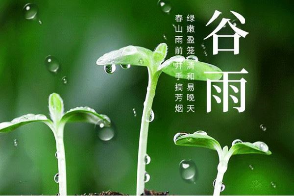 谷雨节气的特点和风俗 谷雨节气是几月几号